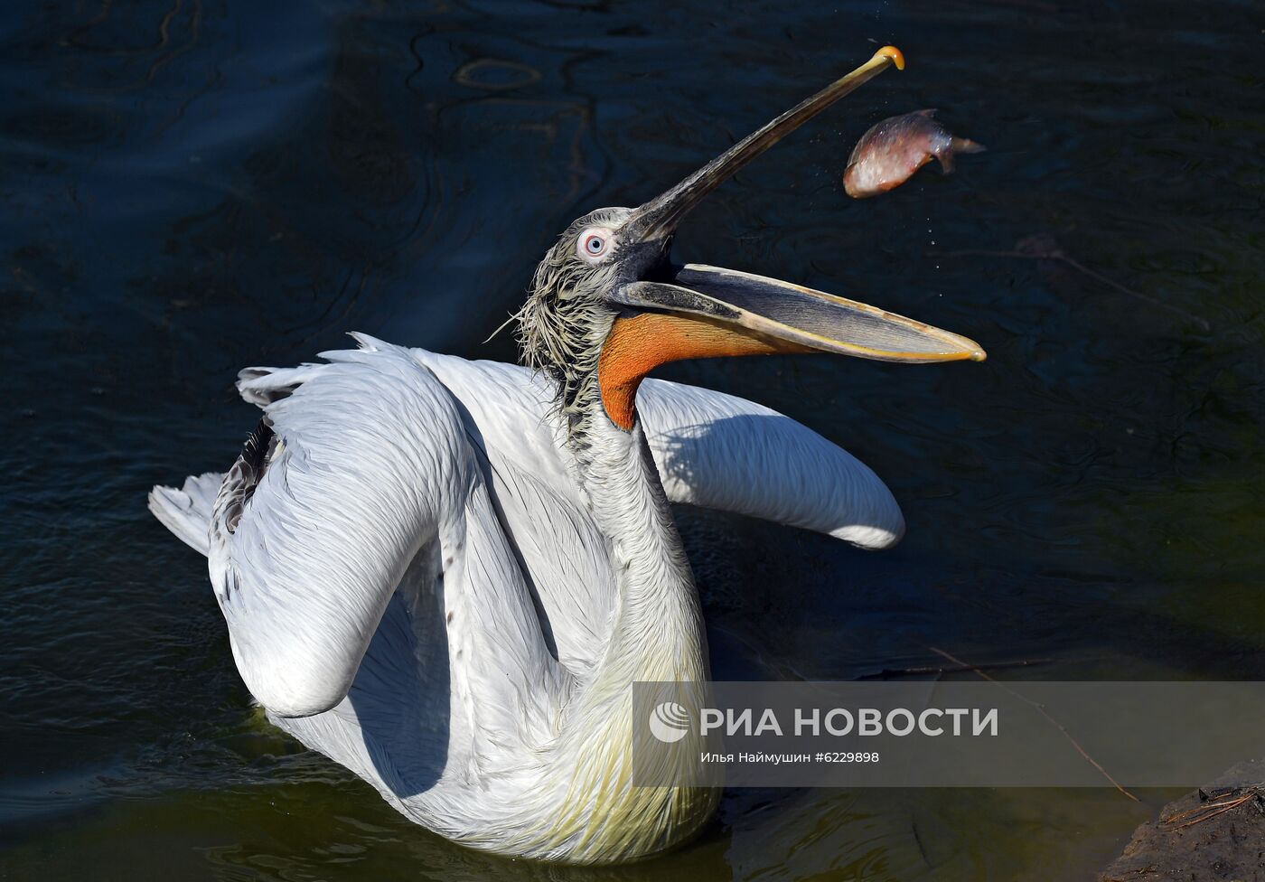 Профилактика распространения клещей в зоопарке "Роев ручей"