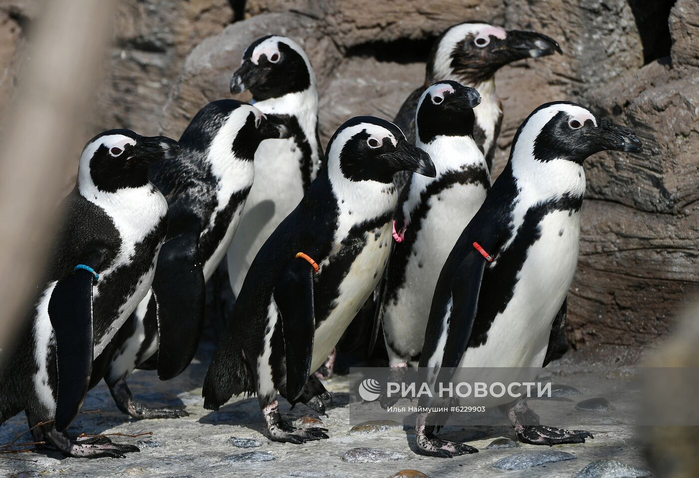 Профилактика распространения клещей в зоопарке "Роев ручей"