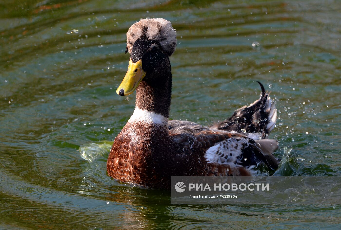 Профилактика распространения клещей в зоопарке "Роев ручей"