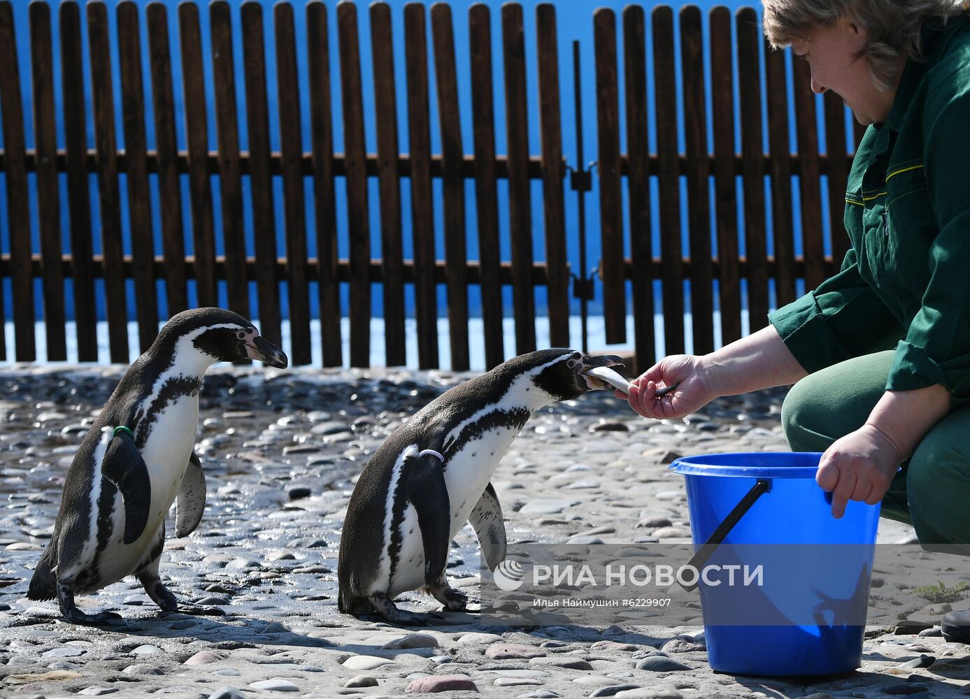 Профилактика распространения клещей в зоопарке "Роев ручей"