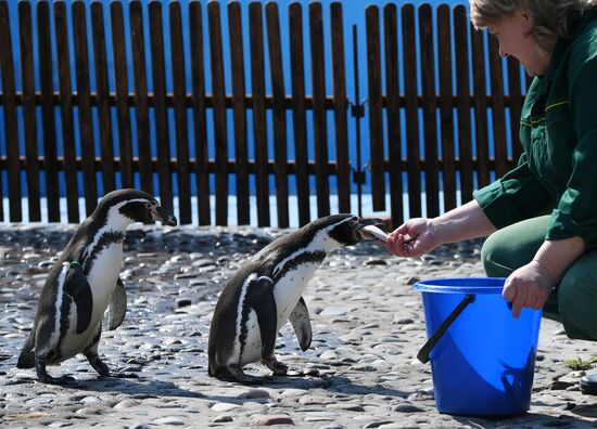 Профилактика распространения клещей в зоопарке "Роев ручей"