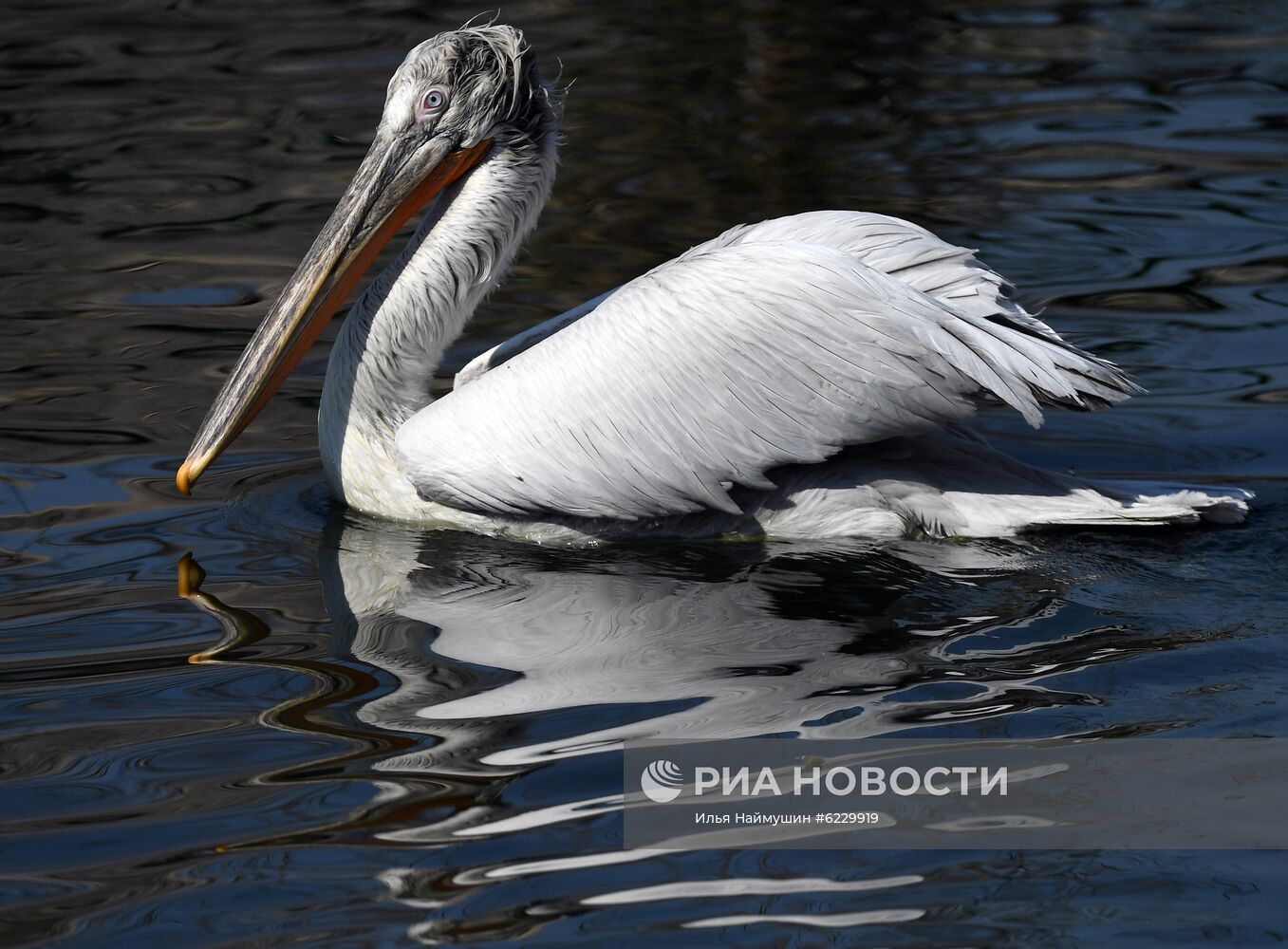 Профилактика распространения клещей в зоопарке "Роев ручей"