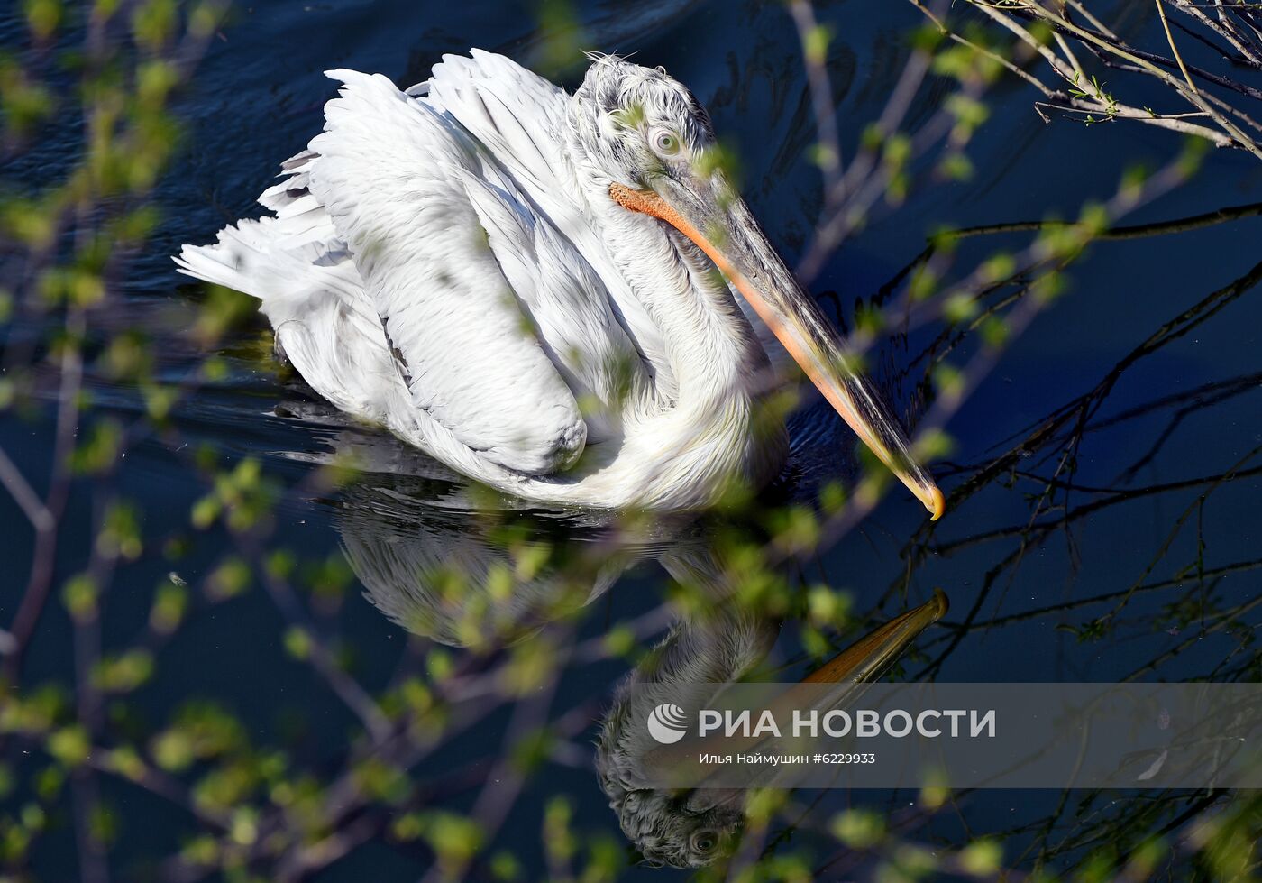 Профилактика распространения клещей в зоопарке "Роев ручей"