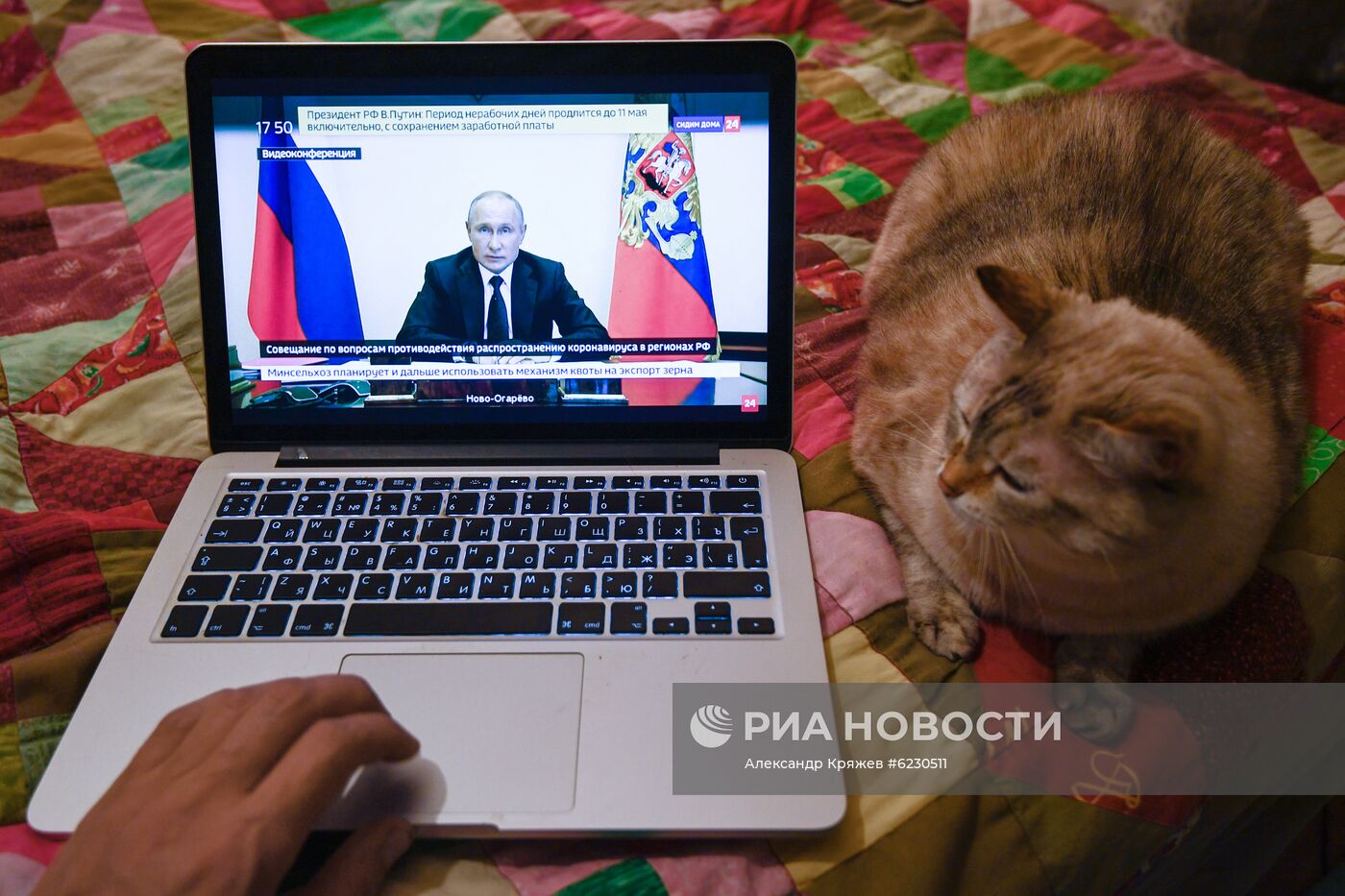 Трансляция совещания президента РФ В. Путина с главами регионов по борьбе с распространением коронавируса в России