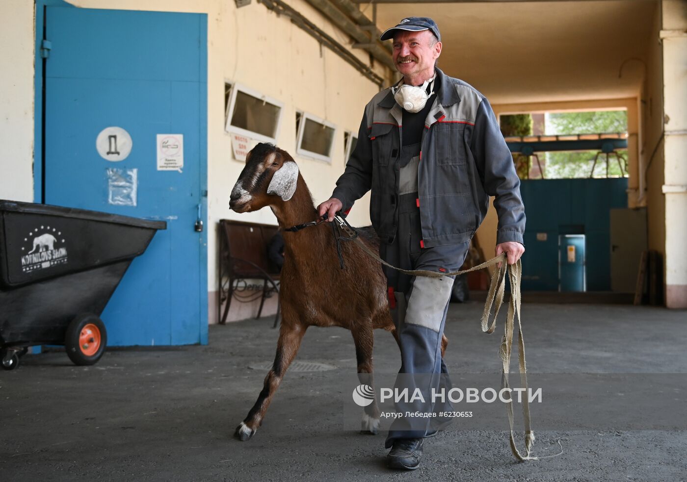 Сочинский цирк в период пандемии коронавируса