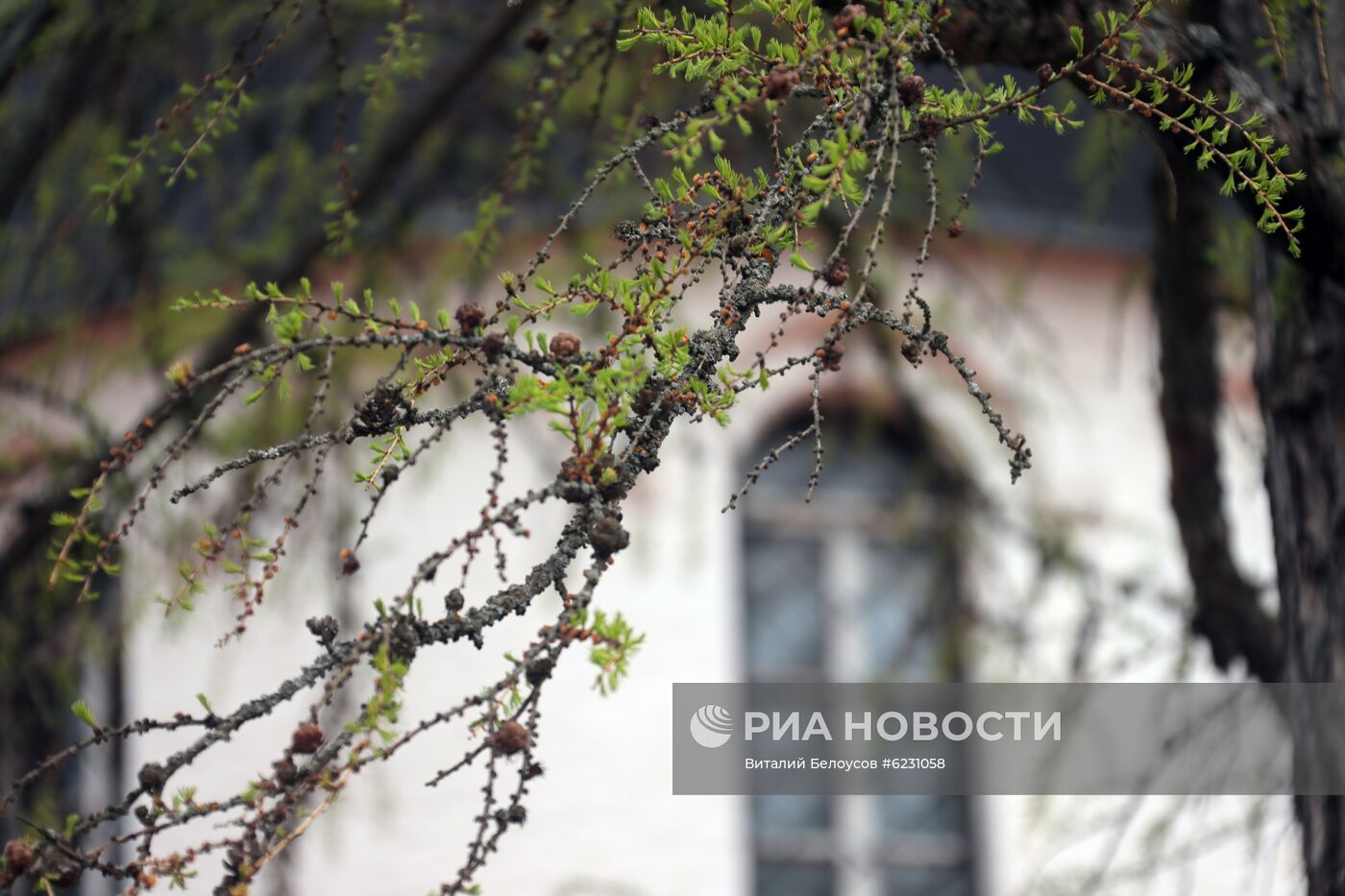 Село Бёхово в Тульской области