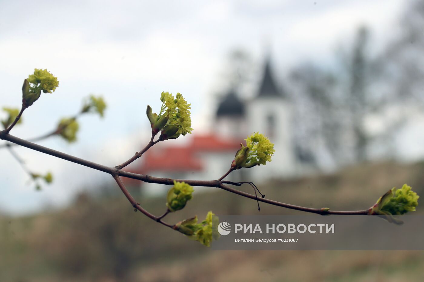 Село Бёхово в Тульской области