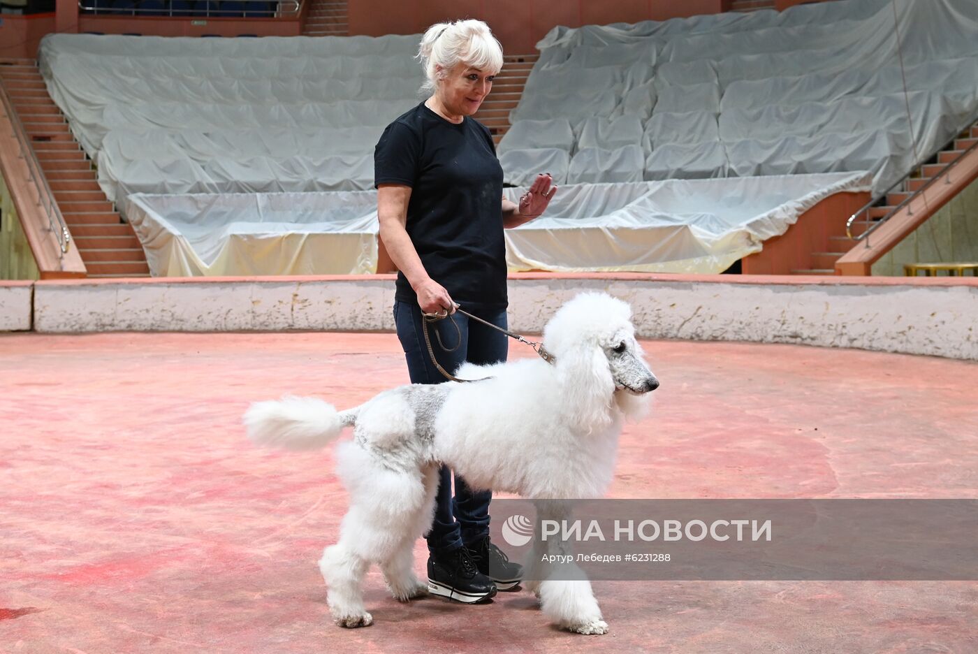 Сочинский цирк проводит онлайн-занятия для детей с особенностями здоровья