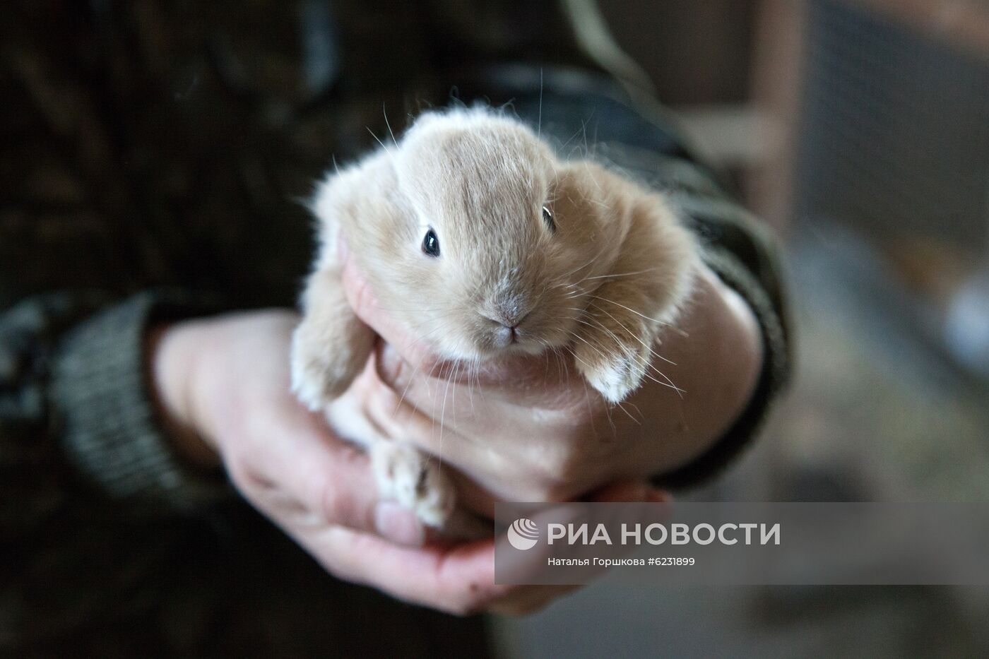 Работа фермы "Тюменский страус" в период пандемии коронавируса