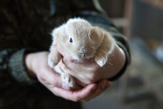 Работа фермы "Тюменский страус" в период пандемии коронавируса