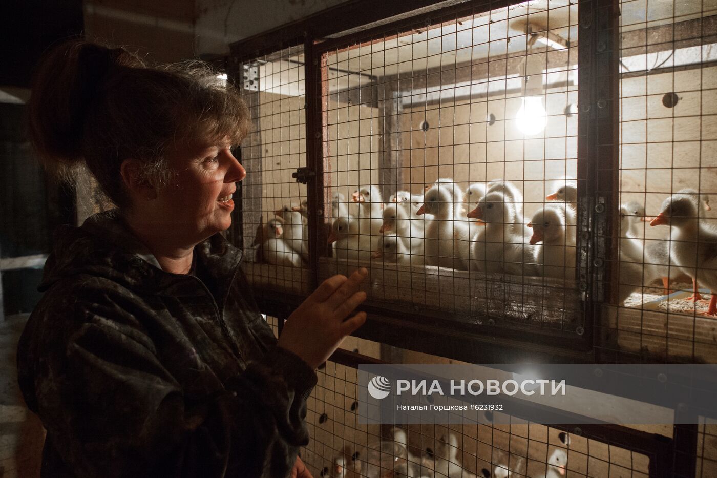 Работа фермы "Тюменский страус" в период пандемии коронавируса