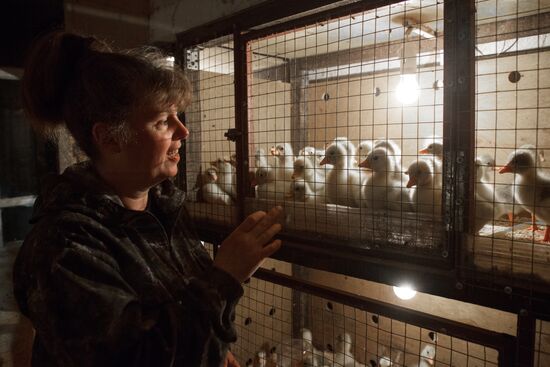 Работа фермы "Тюменский страус" в период пандемии коронавируса