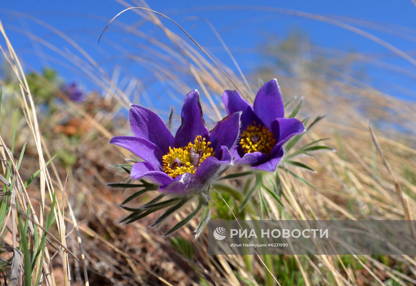 Весна в Красноярском крае