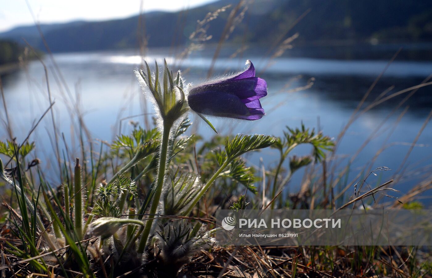 Весна в Красноярском крае