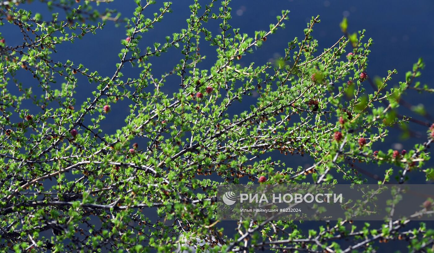 Весна в Красноярском крае