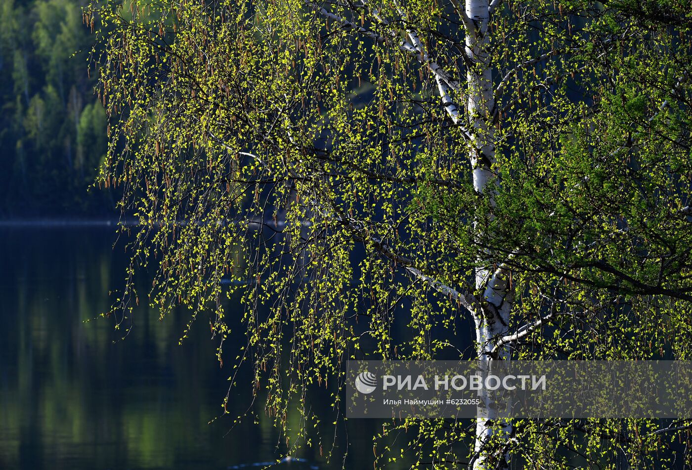 Весна в Красноярском крае
