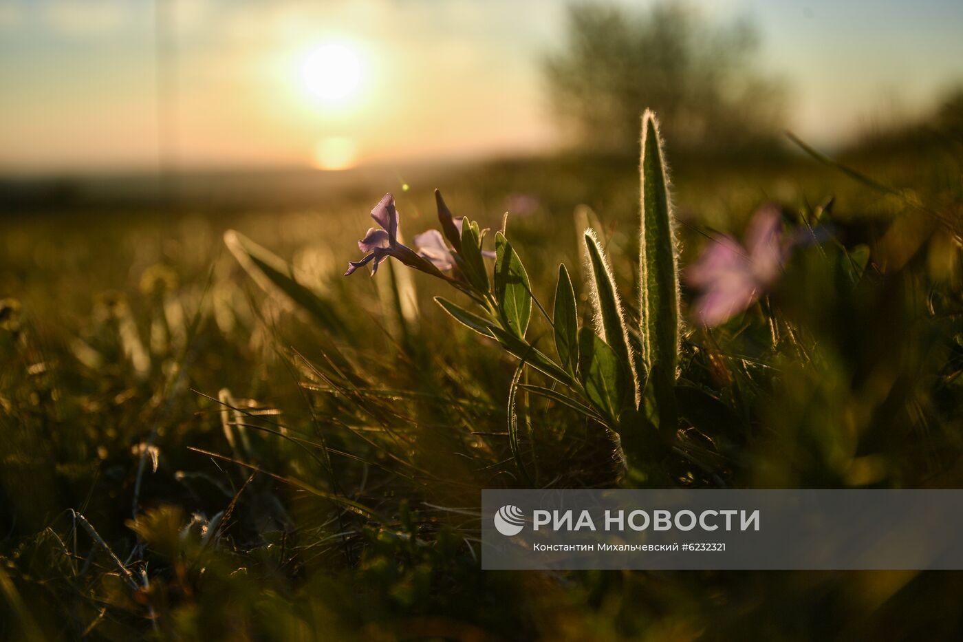 Урочище Таш-Джарган в Крыму