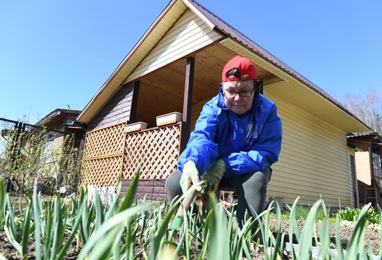 Москвичи на даче