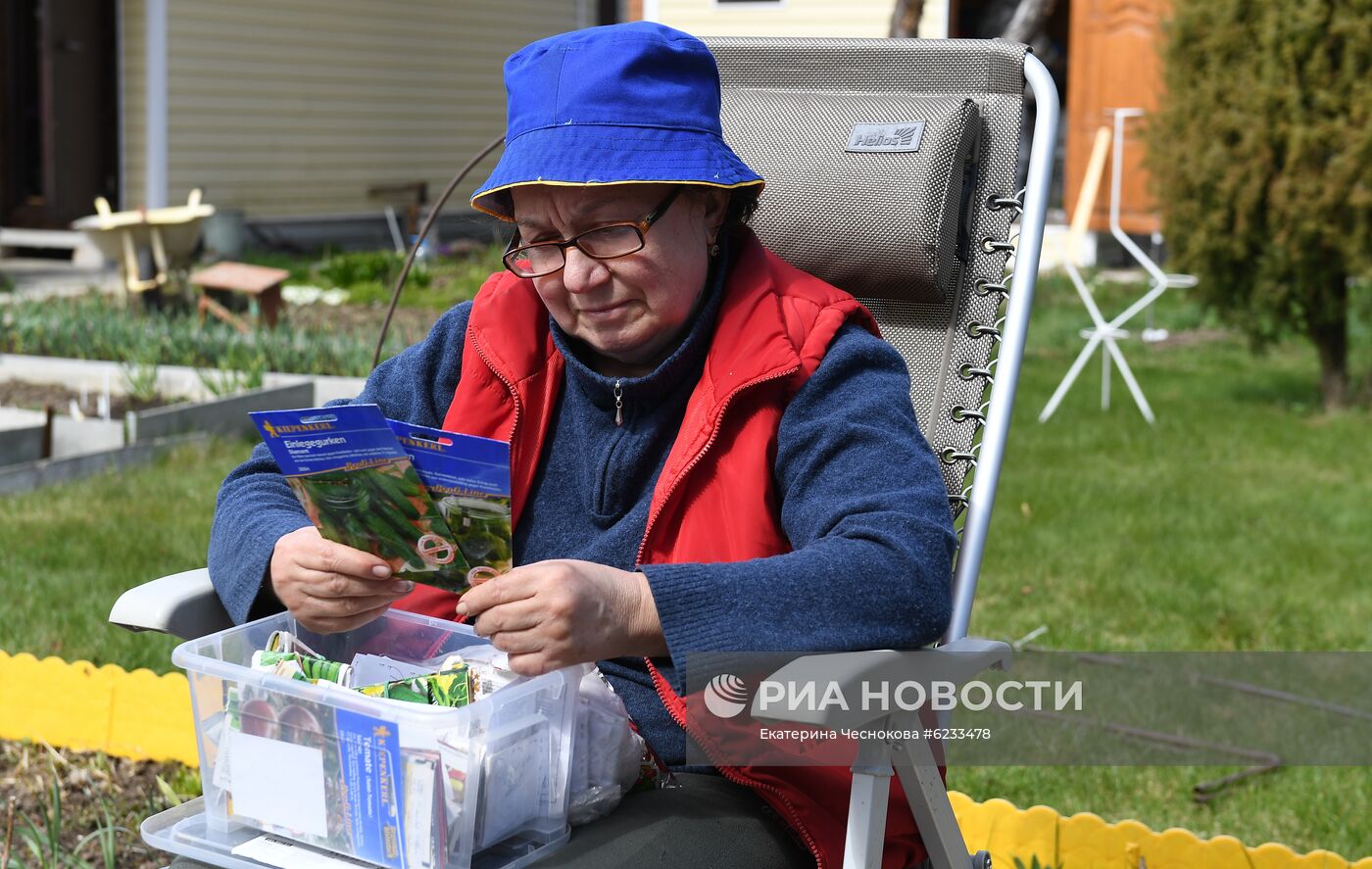 Москвичи на даче