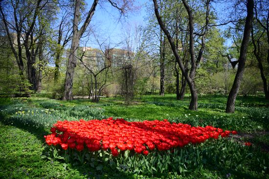 Весна в Москве