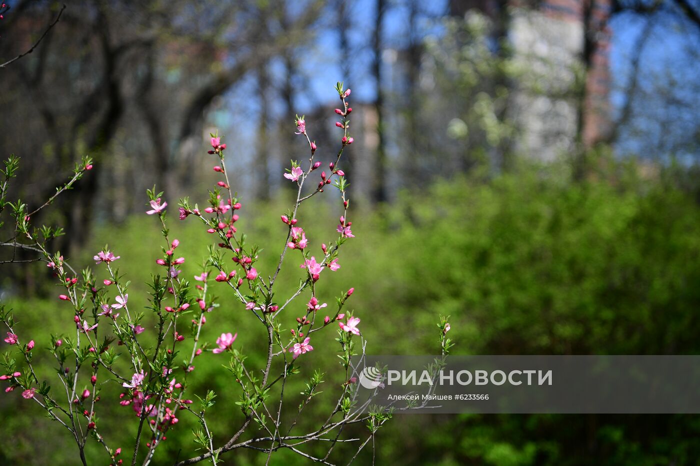 Весна в Москве