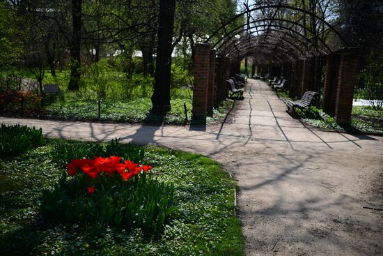 Весна в Москве