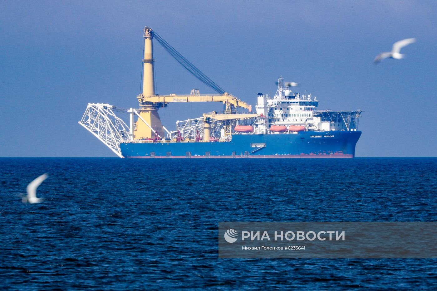 Прибытие трубоукладчика "Академик Черский" в порт Калининграда