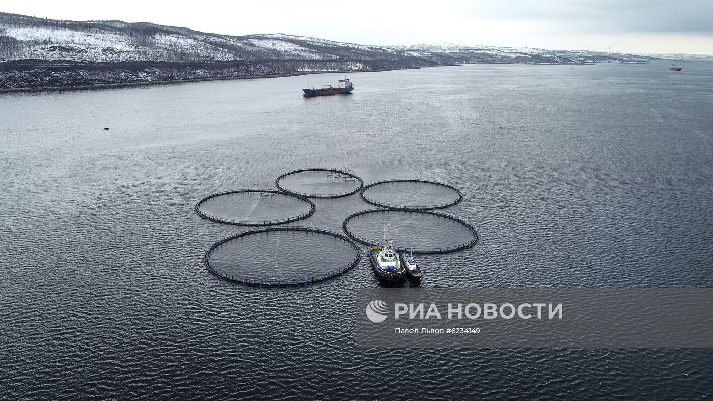 Круизный паром "Принцесса Анастасия" на рейде в Кольском заливе