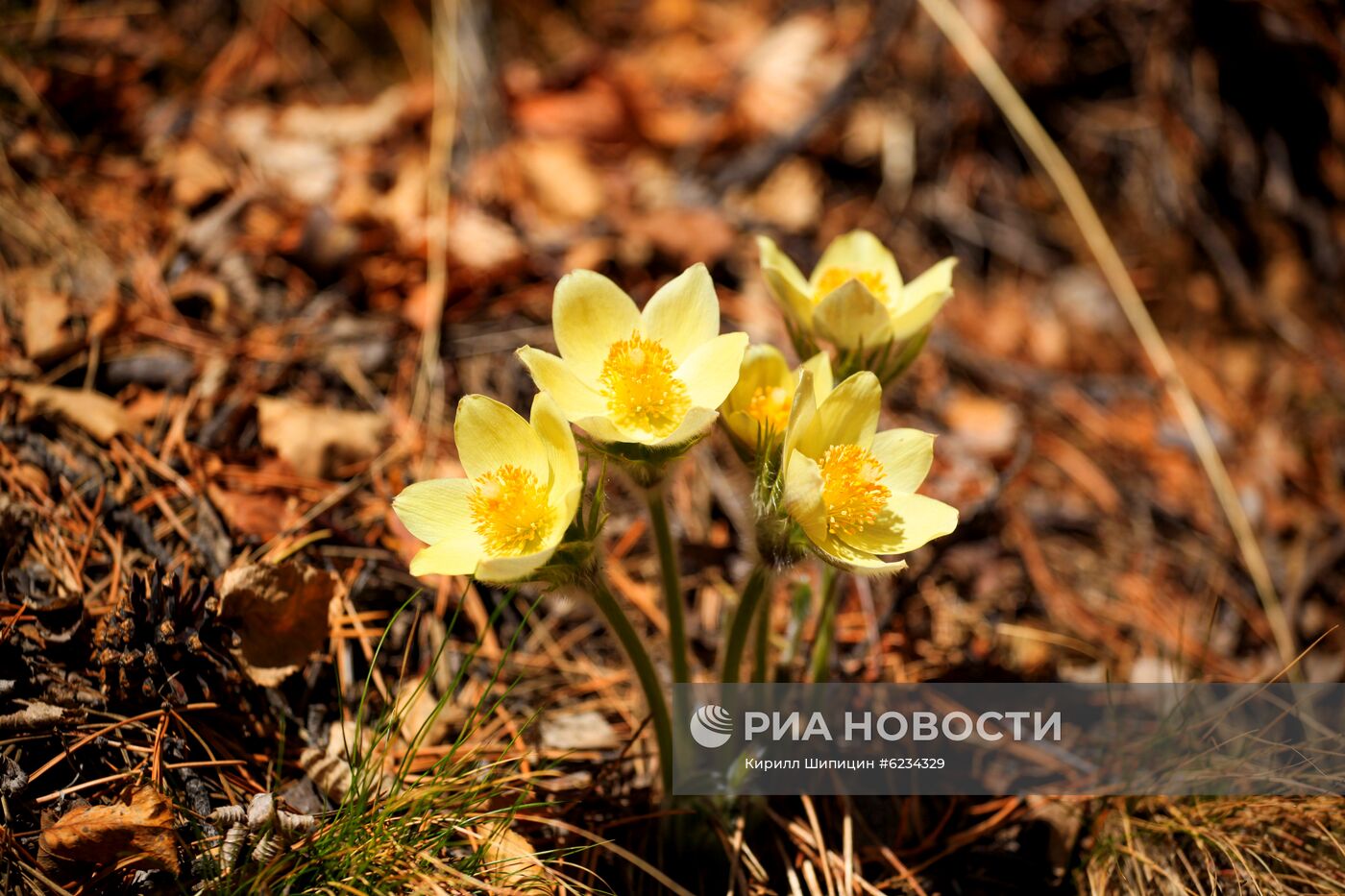 Озеро Байкал