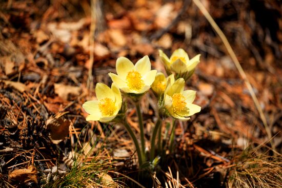 Озеро Байкал