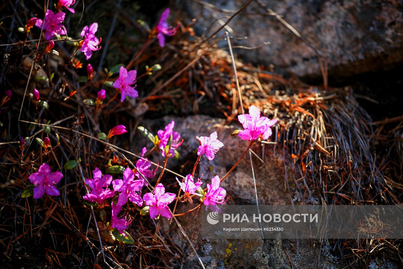 Озеро Байкал