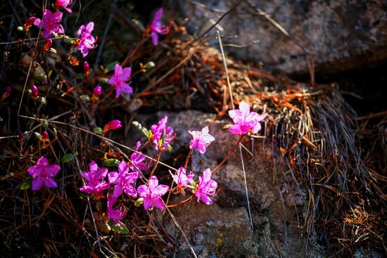 Озеро Байкал