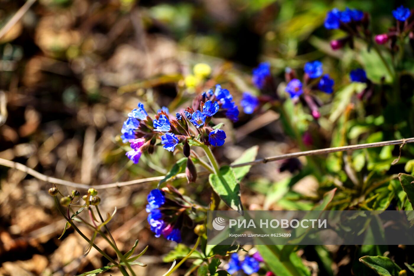 Озеро Байкал