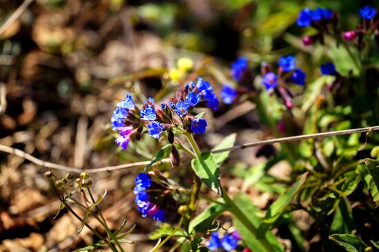 Озеро Байкал