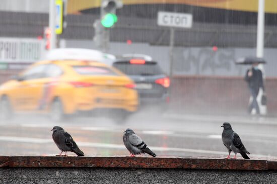 Дождь в Москве