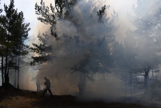 Лесные пожары в Забайкальском крае