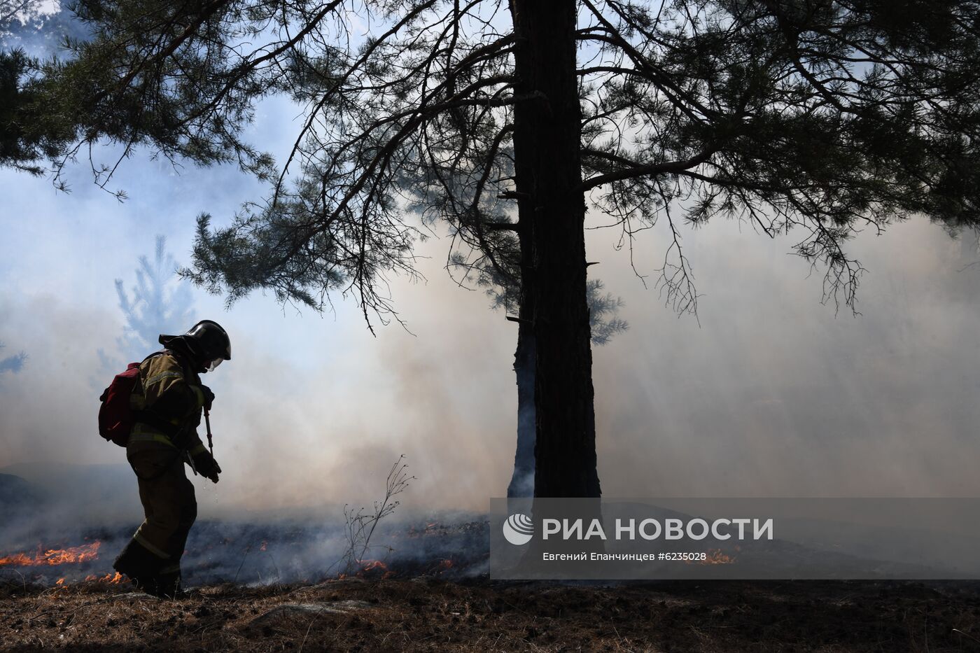 Лесные пожары в Забайкальском крае