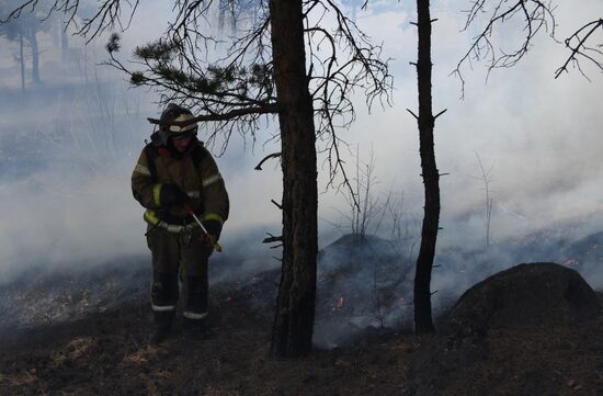 Лесные пожары в Забайкальском крае