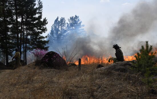 Лесные пожары в Забайкальском крае