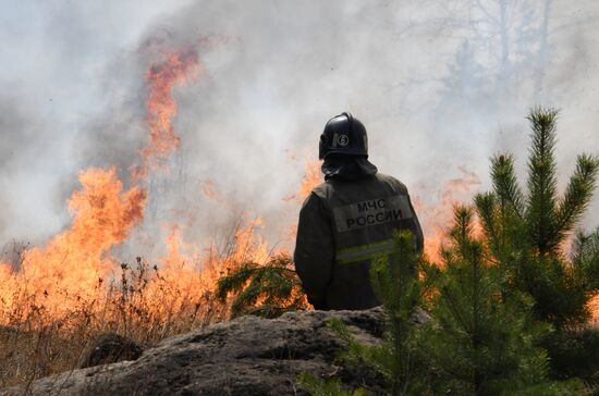 Лесные пожары в Забайкальском крае