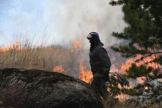 Лесные пожары в Забайкальском крае