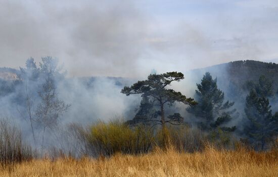 Лесные пожары в Забайкальском крае