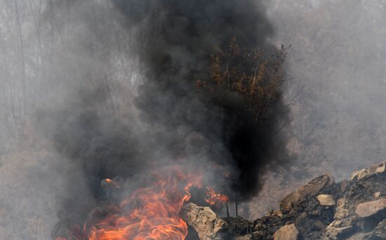 Лесные пожары в Забайкальском крае