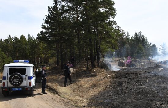 Лесные пожары в Забайкальском крае