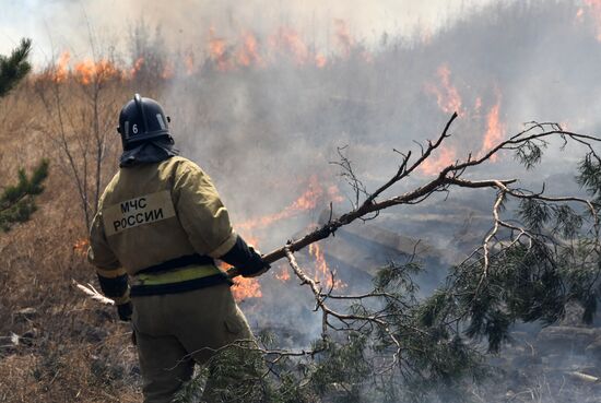 Лесные пожары в Забайкальском крае