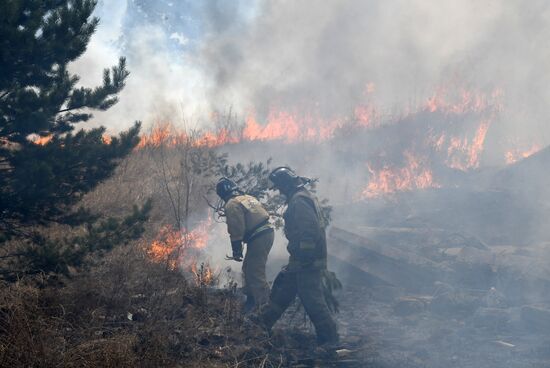 Лесные пожары в Забайкальском крае