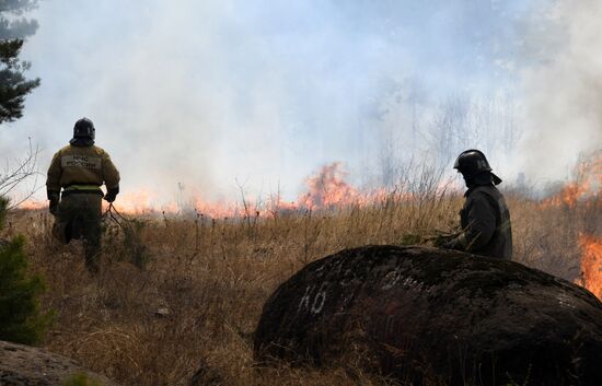 Лесные пожары в Забайкальском крае