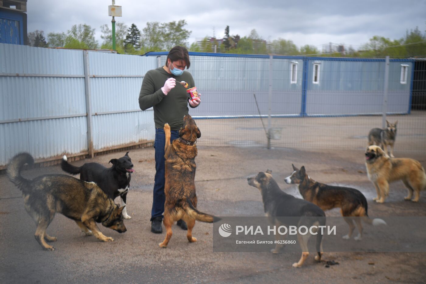 Братья Запашные доставили корм в приюты для животных