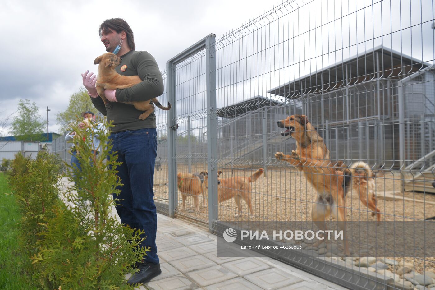 Братья Запашные доставили корм в приюты для животных