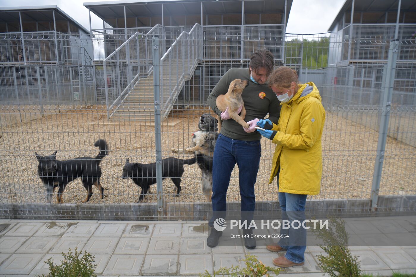 Братья Запашные доставили корм в приюты для животных